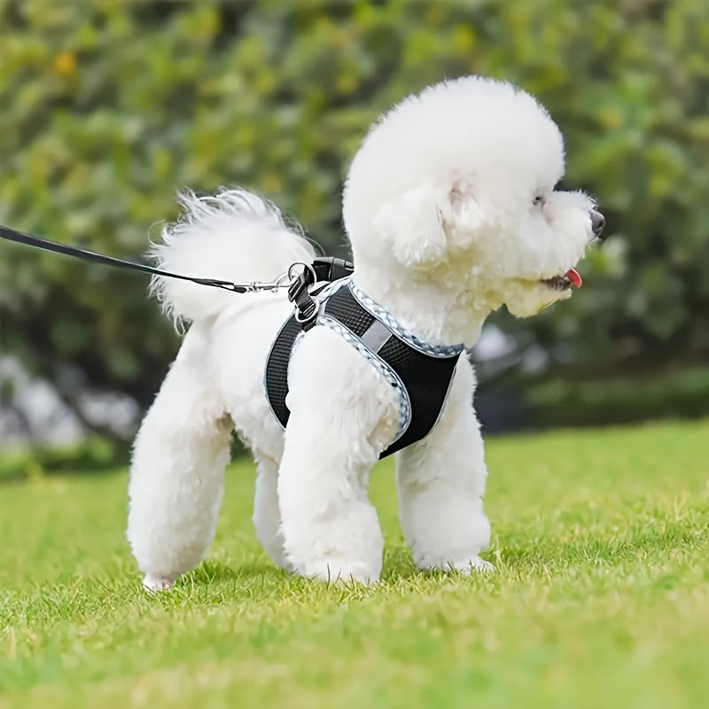 Breathable Pet Harness with Leash No Pull Puppy Walking Set Polyester Adjustable