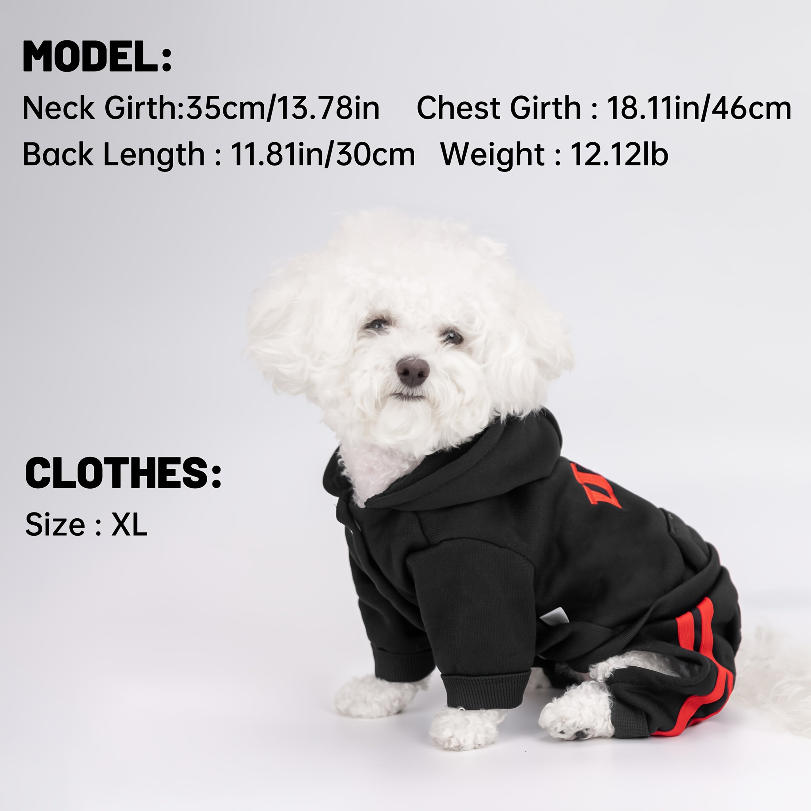 Winter Dog Hoodie with Pockets and Embroidery for Small to Medium Dogs