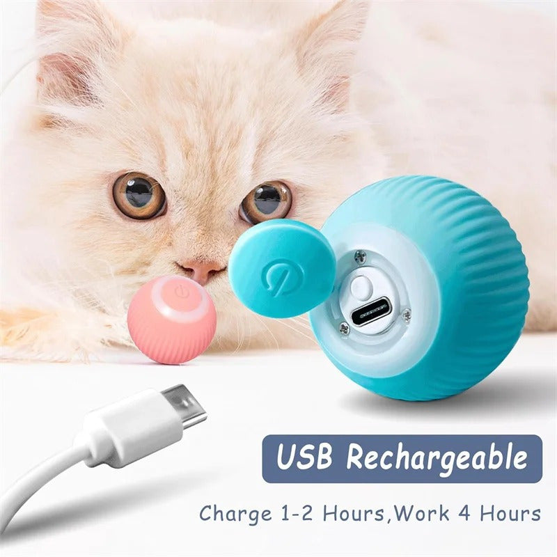Rechargeable Electric Cat Ball Toy for Pets Interactive Silicone Durable Play