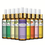 PHATOIL Efir moyi Yagona 10ml - Kayfiyatni ko'taruvchi aromaterapiya suvi, ko'p maqsadli foydalanish, yuqori sifatli, oqmas, UV nurlanishiga chidamli - 1 shisha