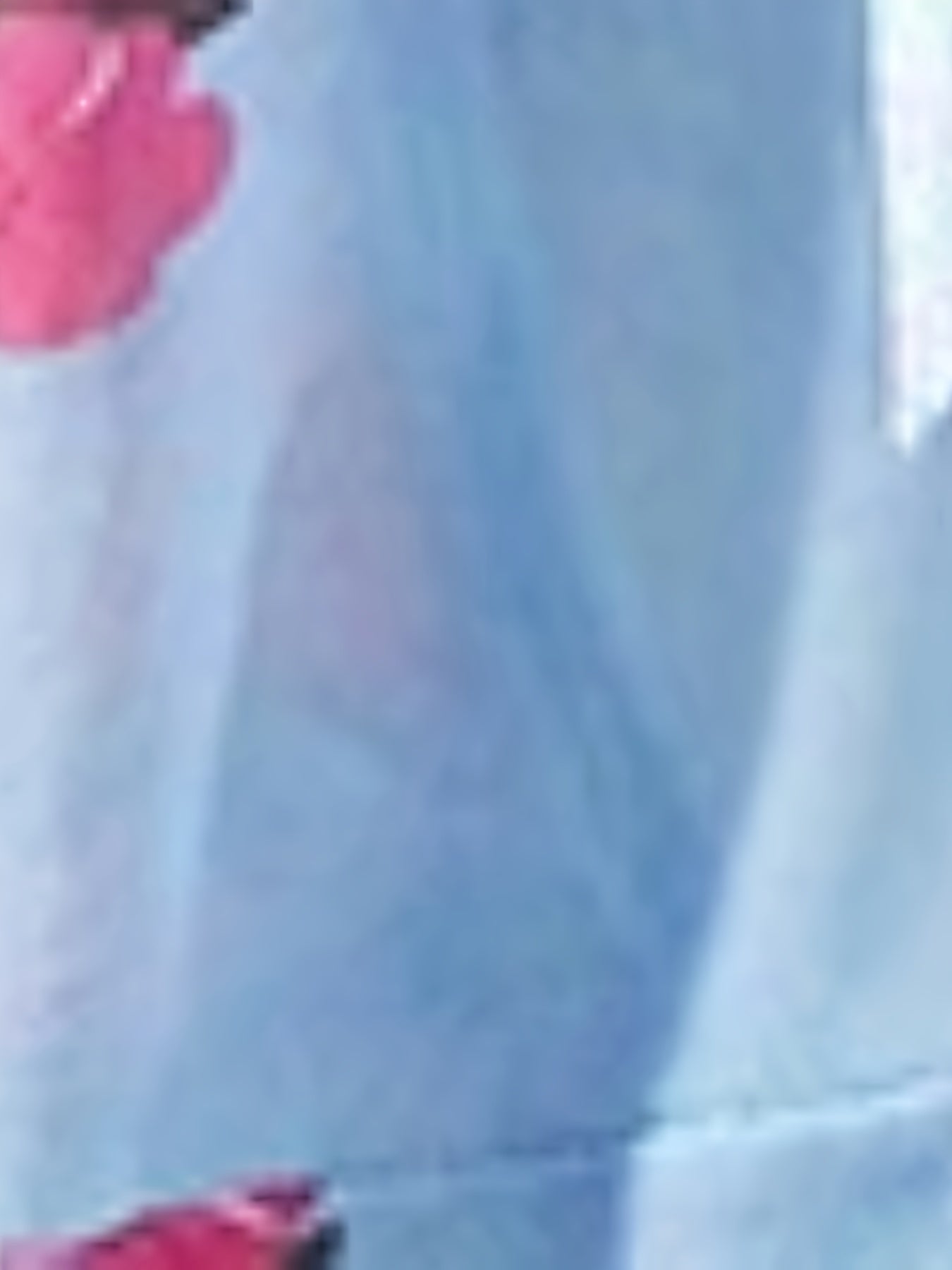 Women's Floral Print Babydoll Dress with Thong Lingerie Set