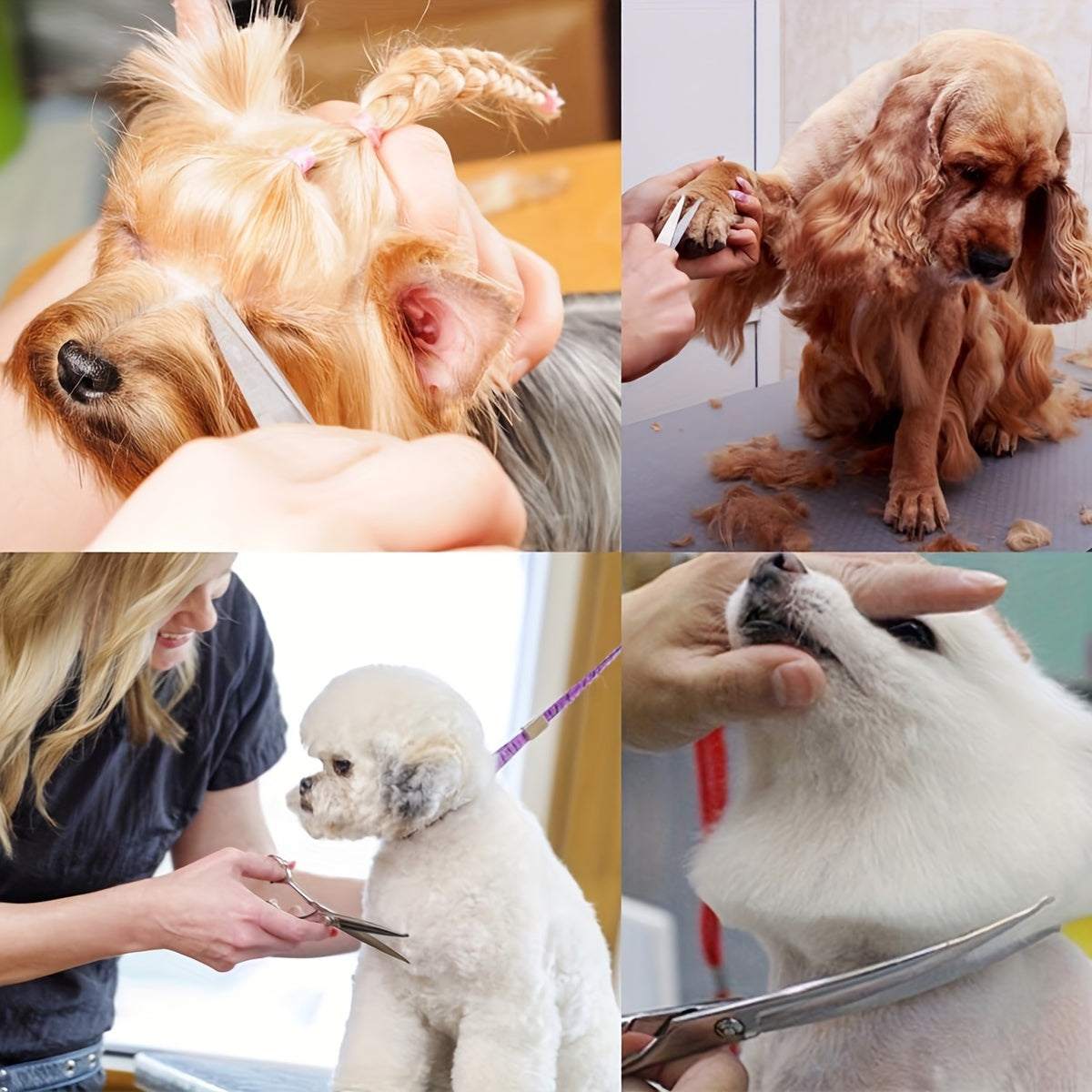 6-Piece Stainless Steel Pet Grooming Scissors Set for Dogs and Cats