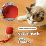 Interactive Electric Cat Toy Ball USB Rechargeable Sound Plastic Durable All Breeds