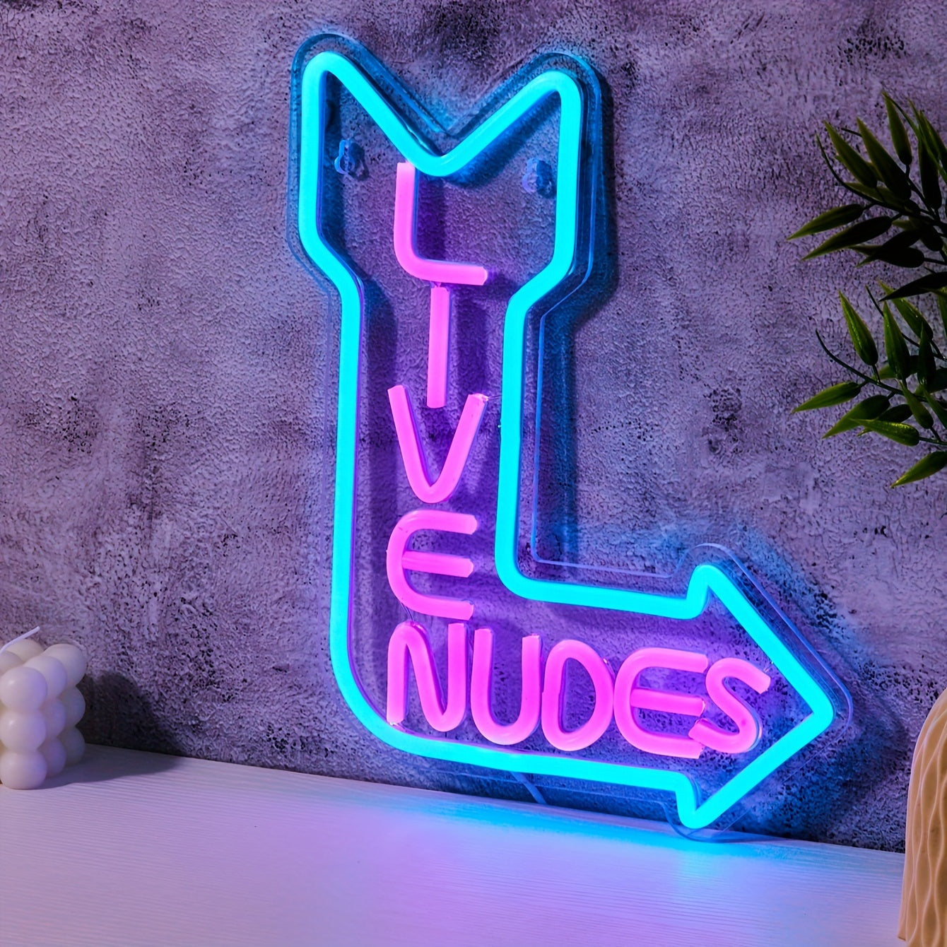 LED Neon Lights for Parties USB Powered Nudes Sign