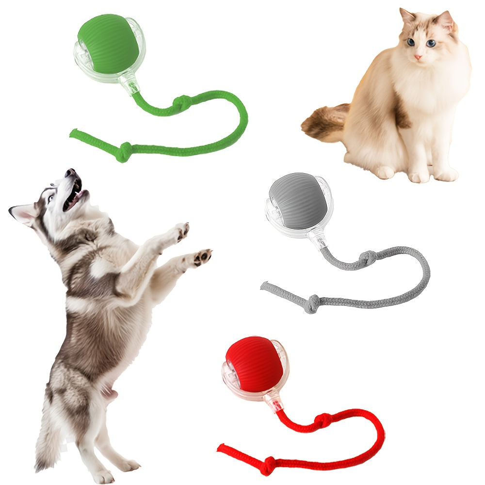 Interactive Cat Toy with Silicone Ball and USB Rechargeable Battery for Small Indoor Cats