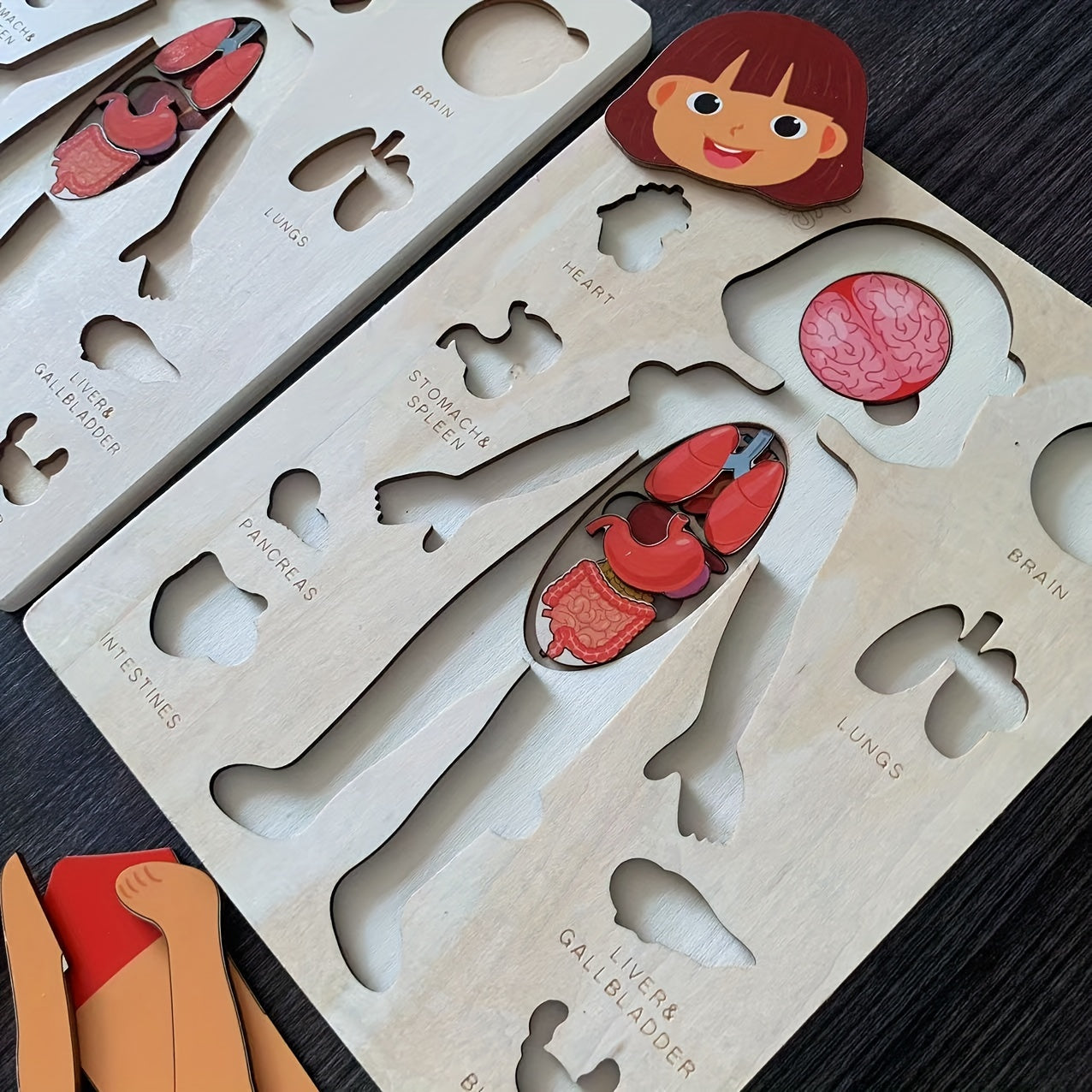 Children's Wooden Human Body Puzzle Educational Toy for Early Childhood Development