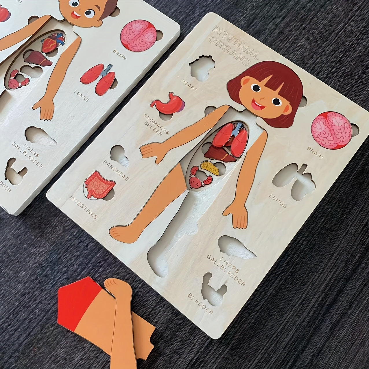 Children's Wooden Human Body Puzzle Educational Toy for Early Childhood Development