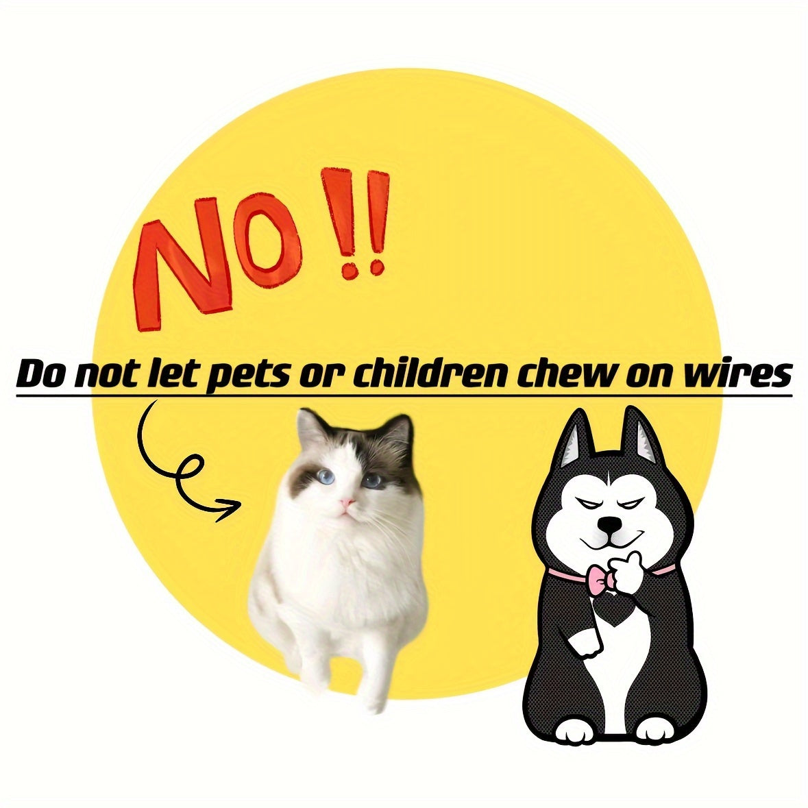 Transparent USB-Powered Pet Water Fountain for Indoor Cats and Dogs