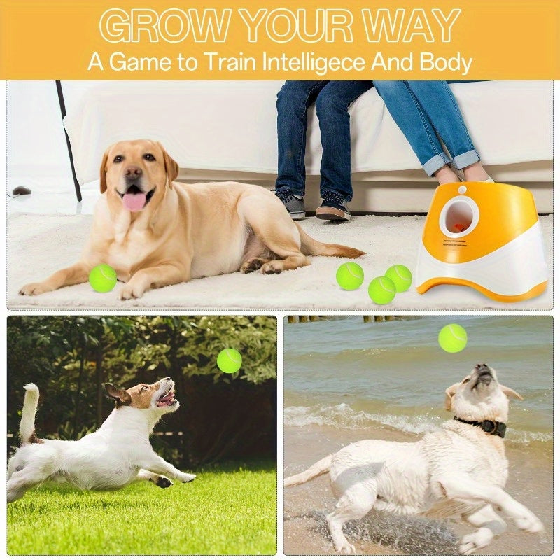 Avtomatik it to'p tashlagich, 3 ta tennis to'pi bilan va sozlanadigan masofa parametrlariga ega