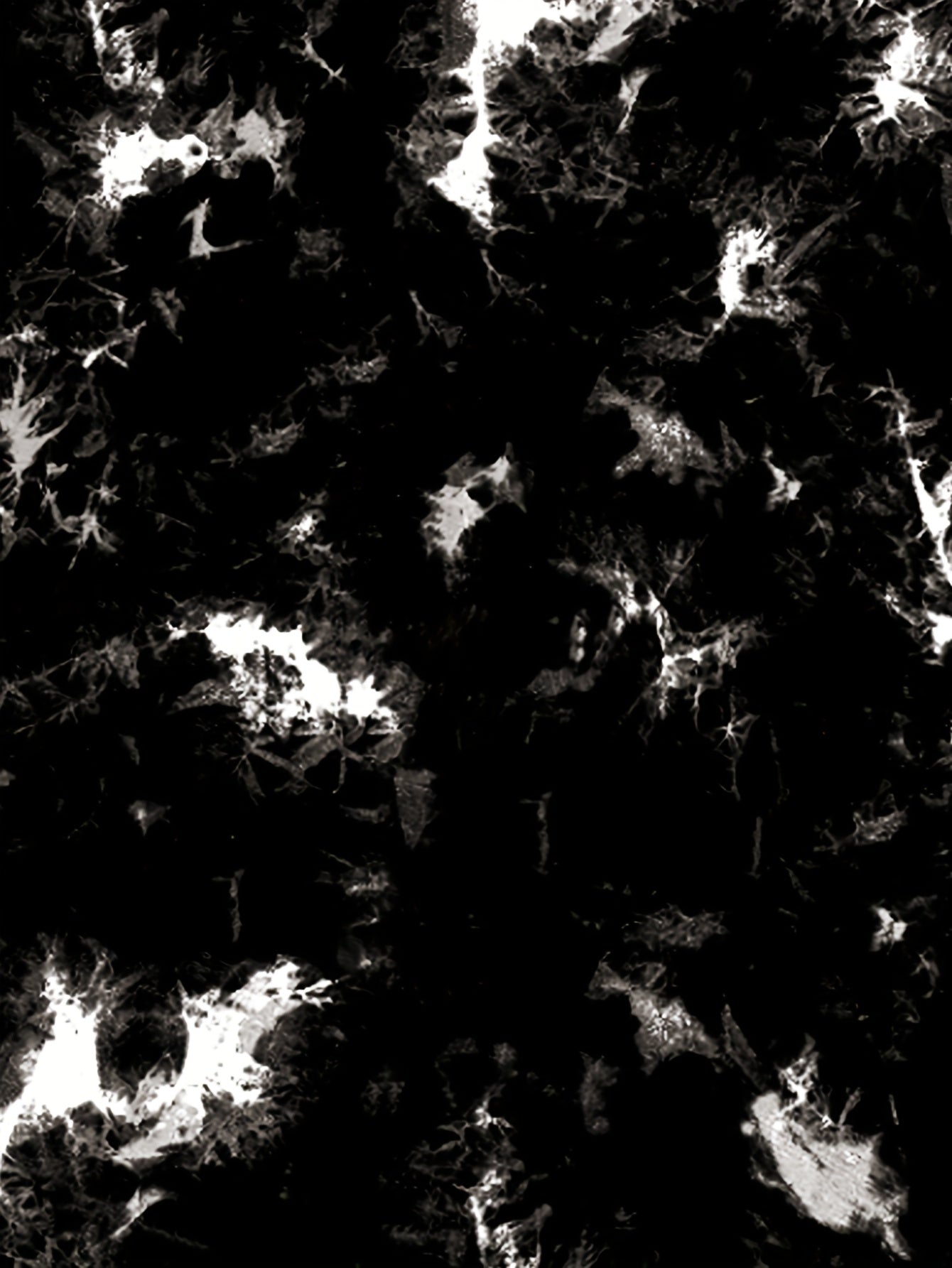 Plus Size Women's High-Waisted Mesh Panel Tie-Dye Yoga Shorts