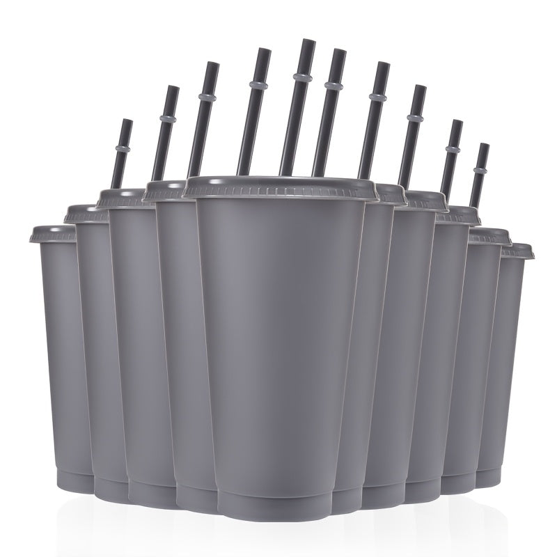 10-Pack 24oz BPA-Free Plastic Tumbler Cups with Lids and Straws for Travel and Parties