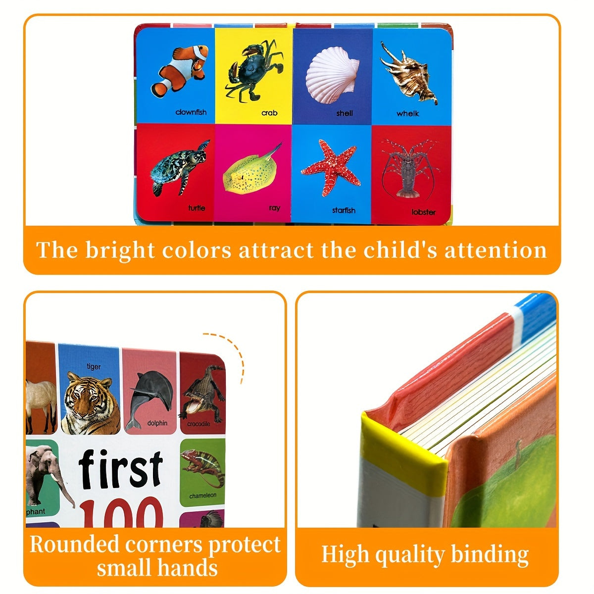 Children's English Learning Book for Ages 4+ 11 Pages Vocabulary Development