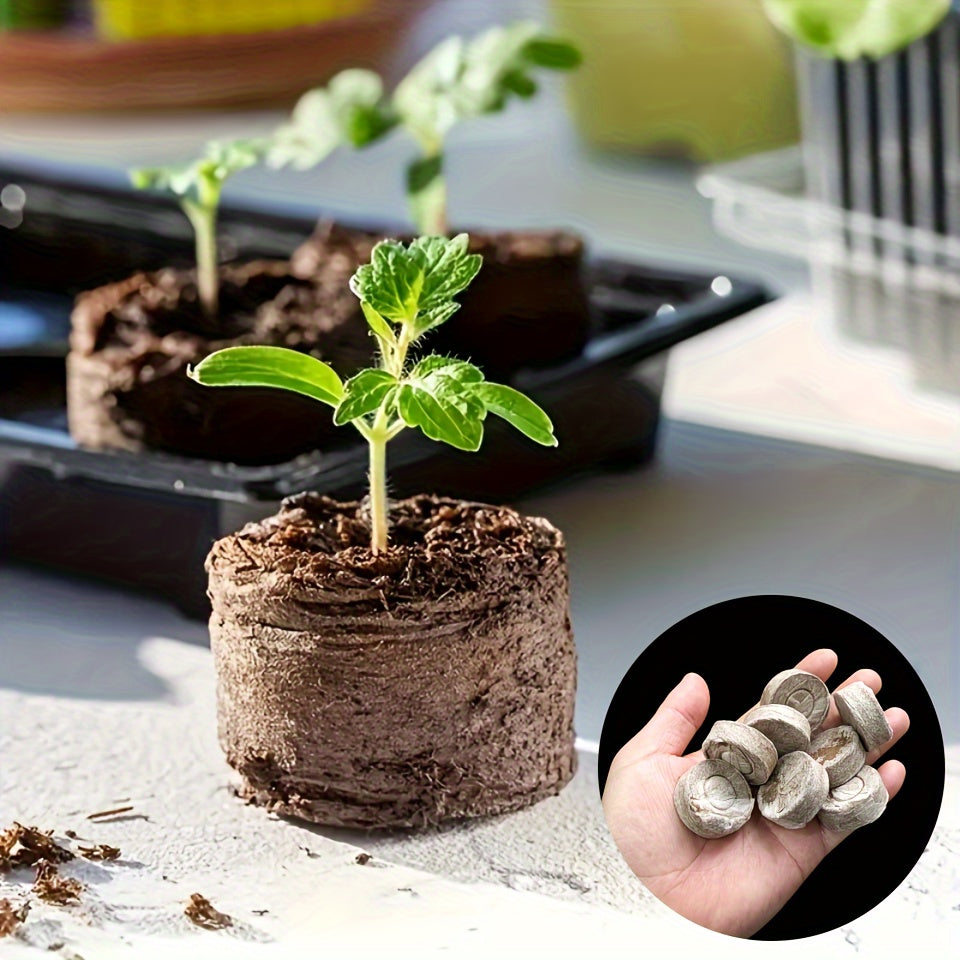 10/20/30 Pcs Compressed Peat Fiber Seedling Trays for Herbs Flowers Vegetables