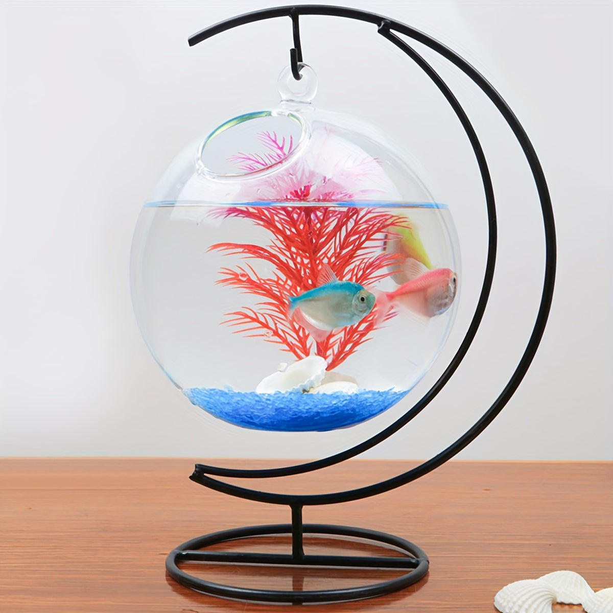 Round Glass Fish Tanks for Betta Fish and Home Decor Set of 2