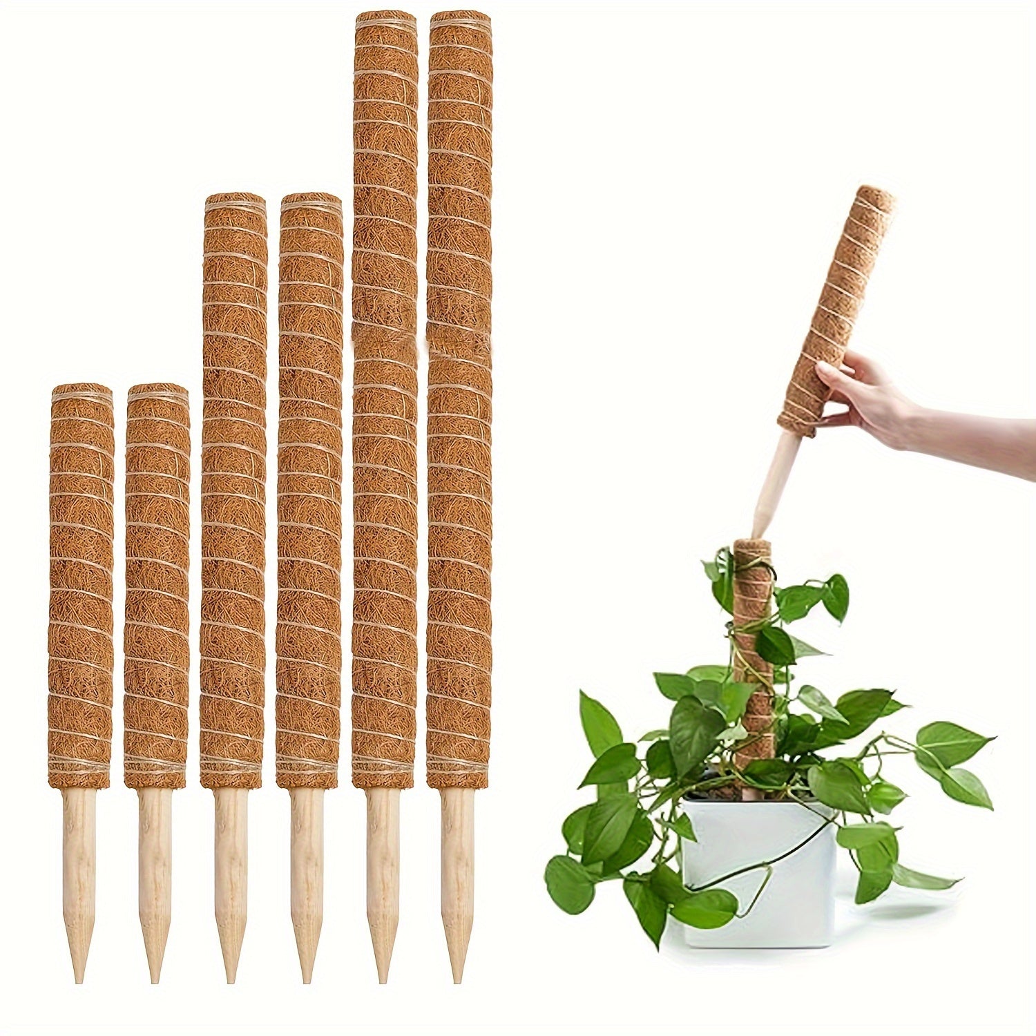 Set of 2 Indoor Moss Poles for Monstera Climbing Plants Coir Support Light Brown