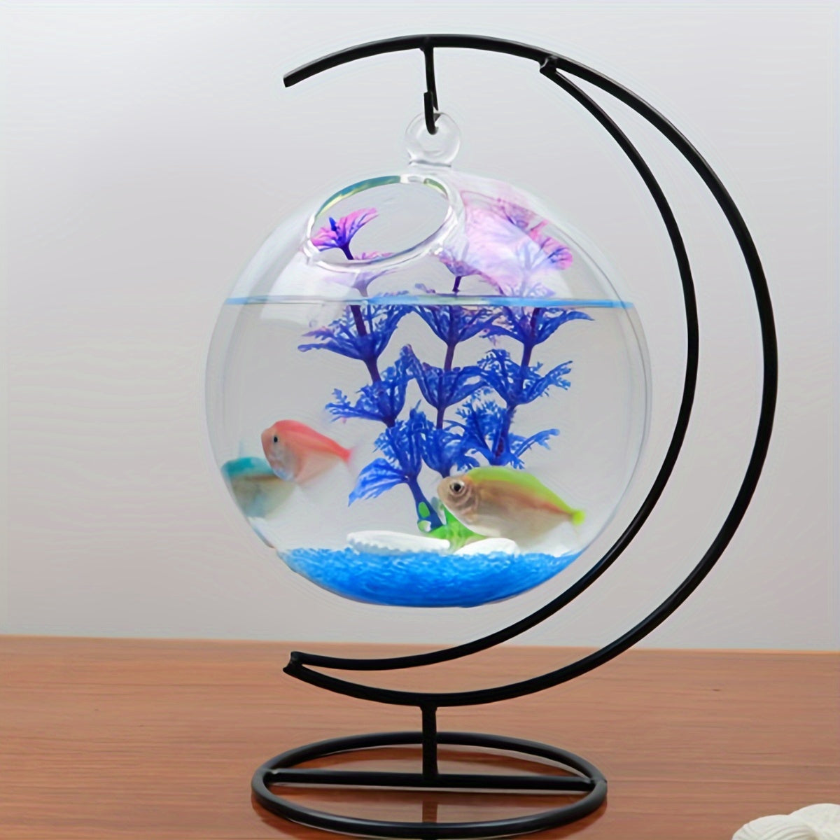 Round Glass Fish Tanks for Betta Fish and Home Decor Set of 2