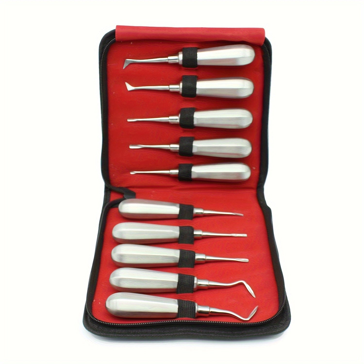 Dental Extraction Tools Set of 10 Stainless Steel Root Tip and Nail Stabilizer Instruments