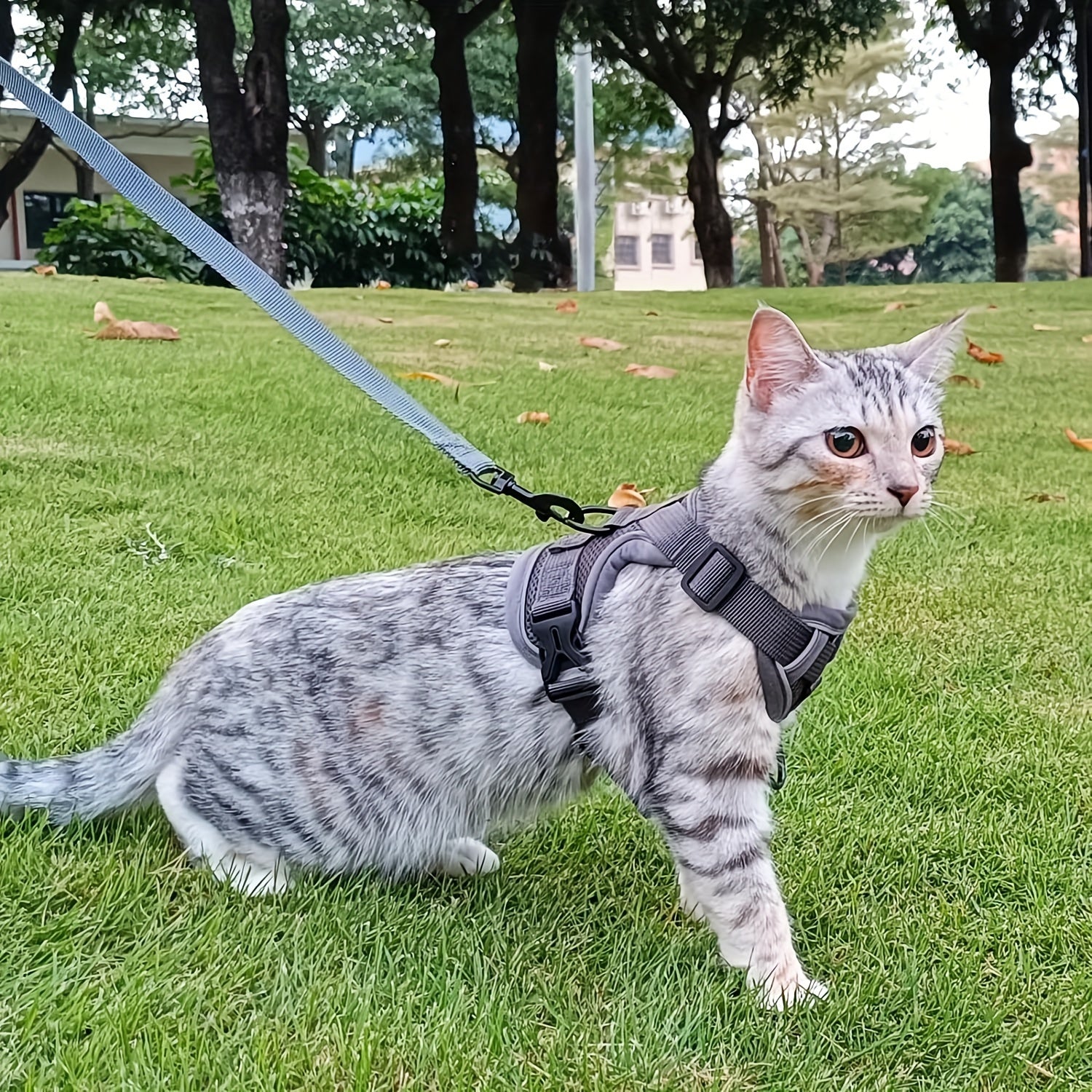 Extra Large Striped Tactical Cat Harness with Quick-Release Buckles and Polyester Material