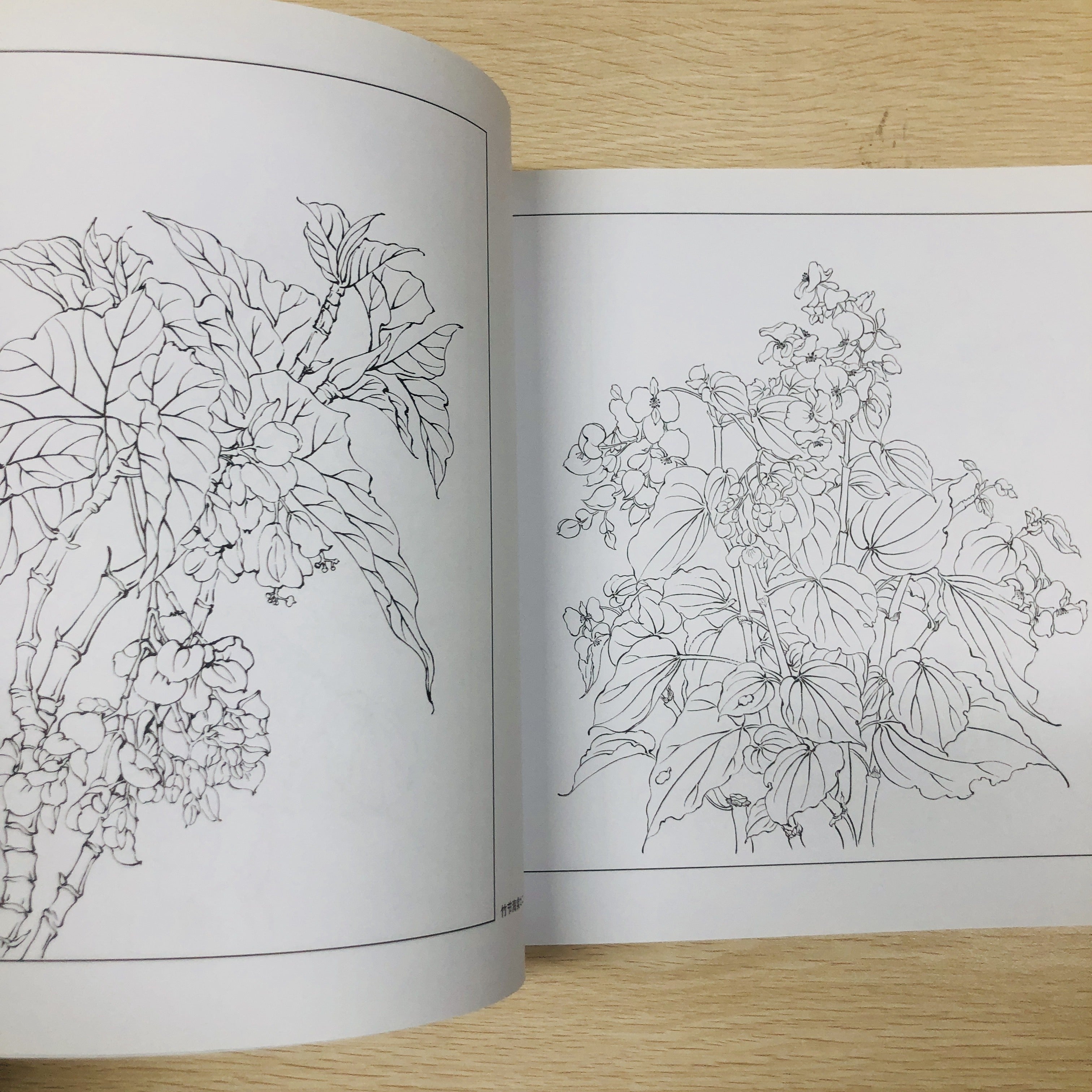 Chinese Painting Techniques Book for Beginners with Fresh Flowers Calligraphy Still Life Art Photography in Simplified Chinese