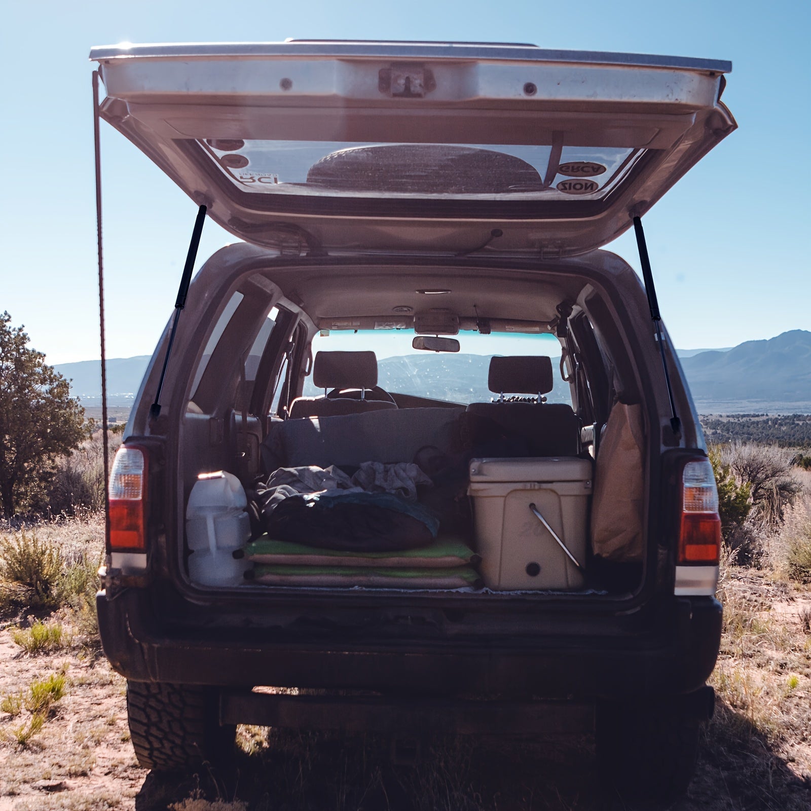 Hydraulic Gas Spring Lift Strut for Camper Shell RV Bed Storage Box