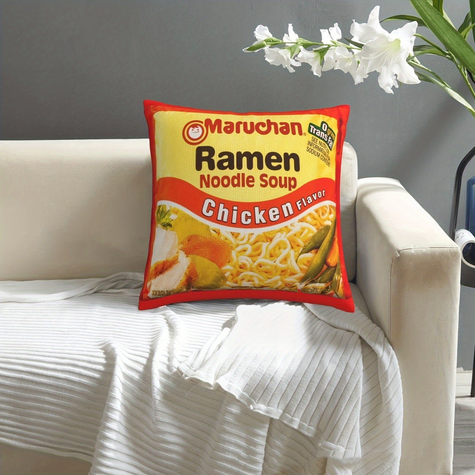 Instant Ramen Noodle Soup Chicken Throw Pillow Cover Cozy Soft Cushion Case for Bedroom Couch