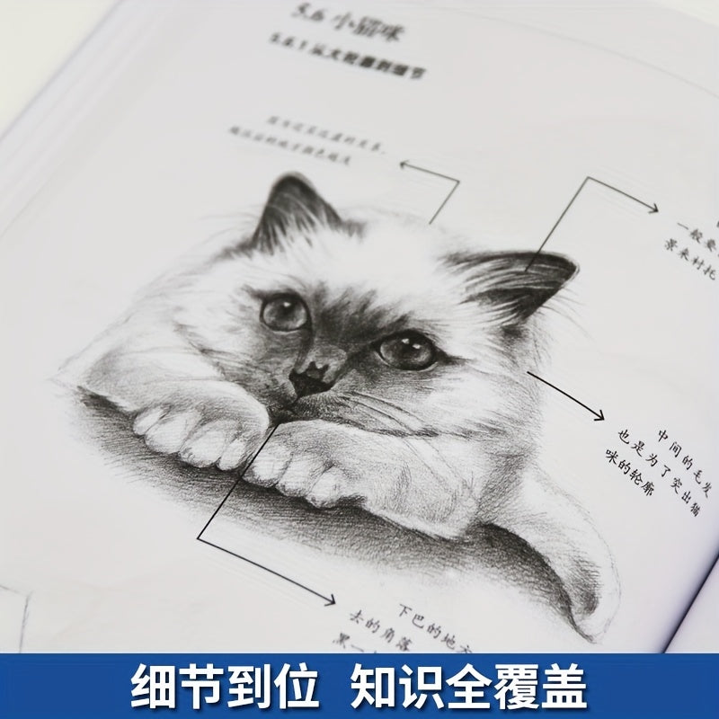 Boshlovchilar uchun chizishning xitoycha versiyasi