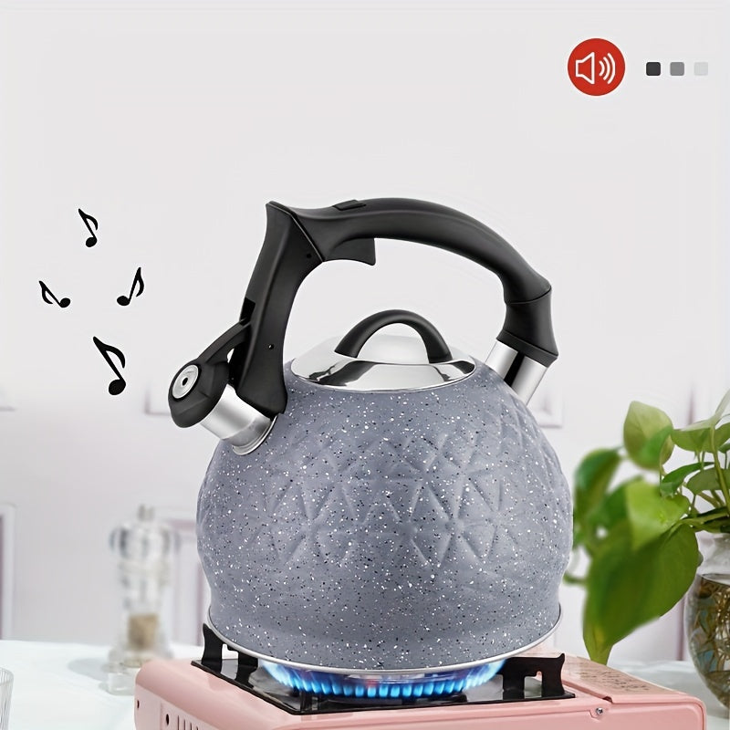 3L Stainless Steel Whistling Tea Kettle for Stovetop Gas Electric Induction