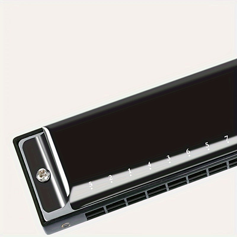 Губная гармошка диатоническая на 24 отверстия в тональности C, черный металл, с футляром