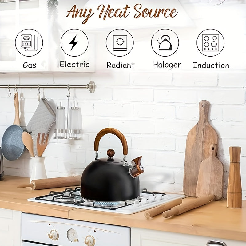 Tetera de acero inoxidable negro con silbido, de hierro fundido, para estufa, uso interior y exterior, camping