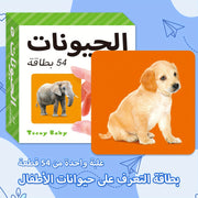 54-Card Arabic Language Learning Flashcards for Kids Ages 1-6 Educational Animal Vocabulary Set