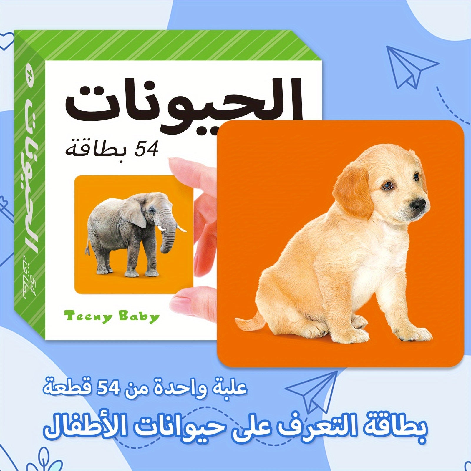54-Card Arabic Language Learning Flashcards for Kids Ages 1-6 Educational Animal Vocabulary Set