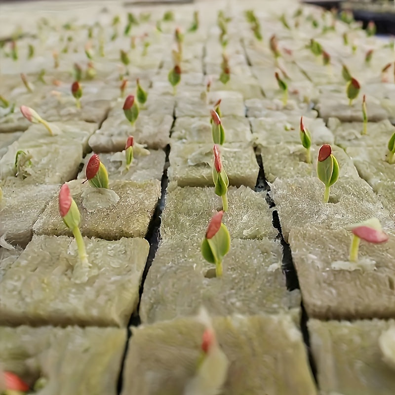 50/100 Pcs Hydroponic Rock Wool Plant Seedling Growing Medium for Cultivation