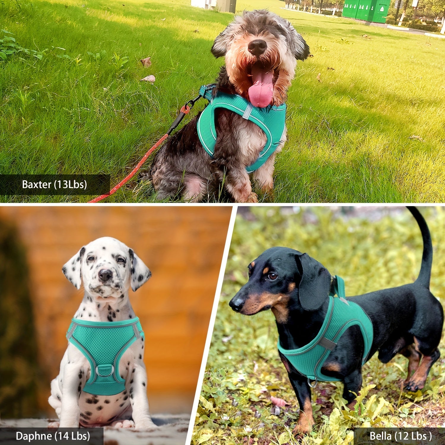 Reflective Dog Harness and Leash Set for Small to Medium Breeds Mesh Padded Nylon No-Choke Safety