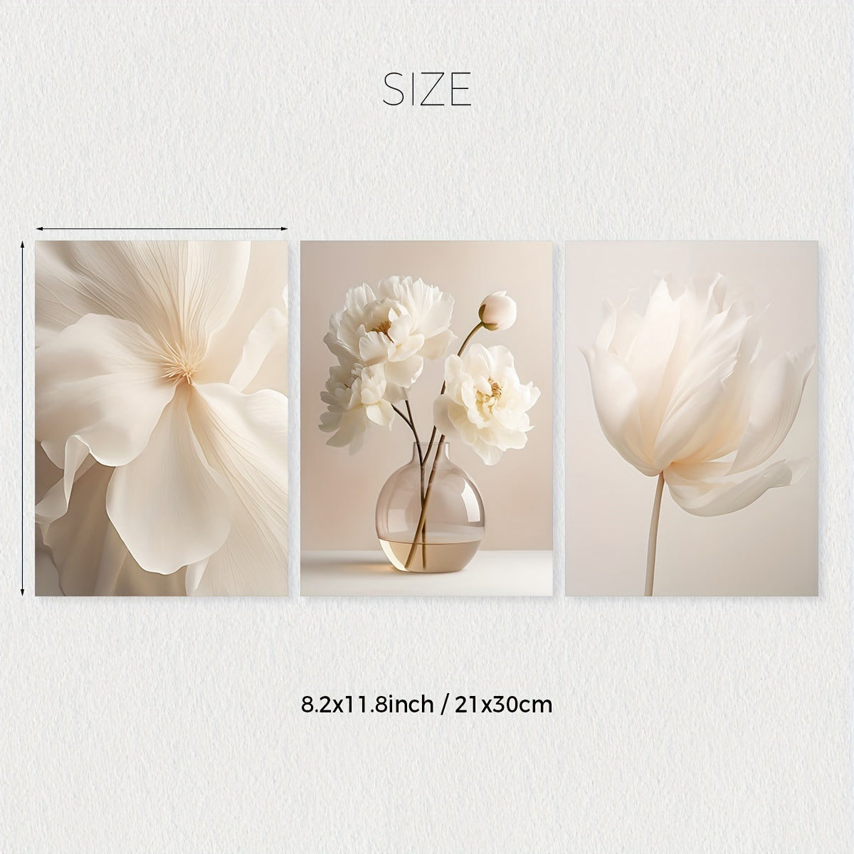 Set of 3 White Peony Flower Wall Art Prints Canvas Modern Minimalist Neutral Decor
