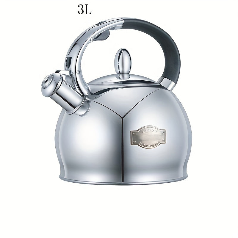 Stainless Steel 3L Gas Kettle with Creative Design for Open Flame Cooking
