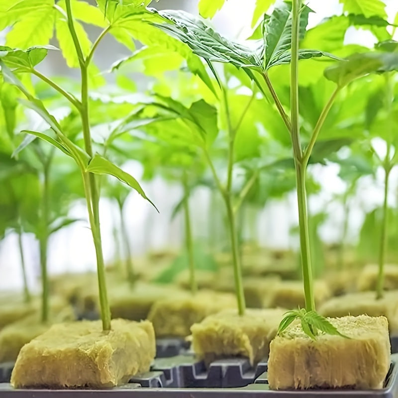 Pack of 100 Square Soilless Seedling Trays for Plant Germination and Seedling Tools