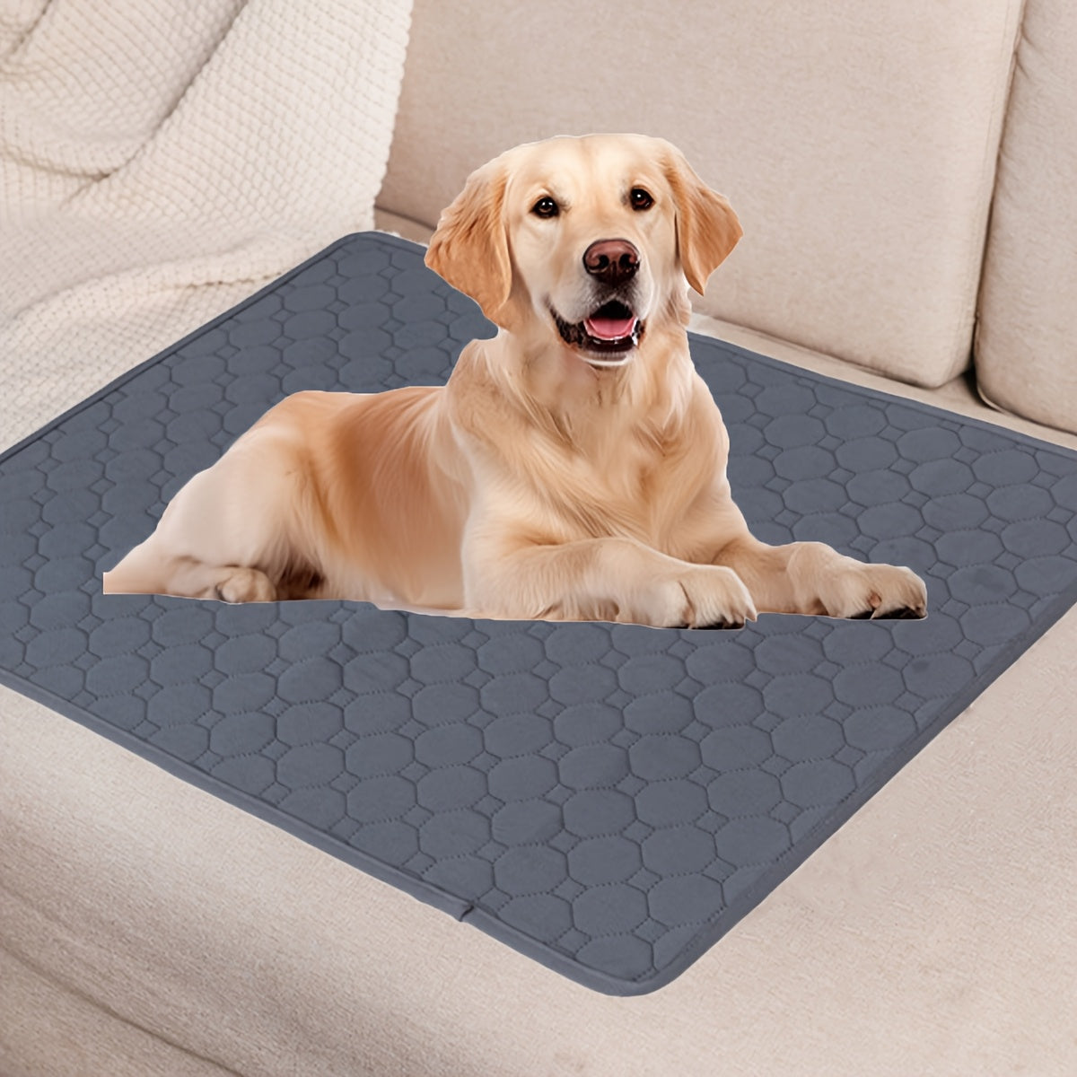 Washable Waterproof Dog Training Pad with Non-Slip Hexagonal Grip for Indoor Use