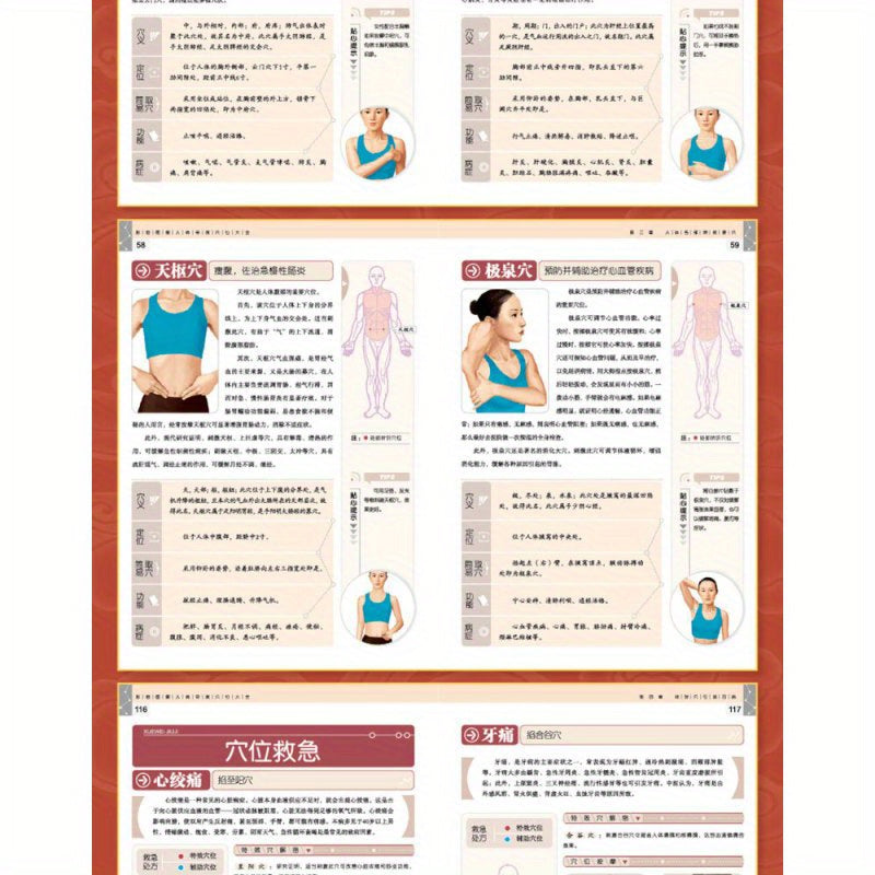 Colorful Illustrated Human Body Acupoints Book for Traditional Chinese Medicine and Disease Treatment