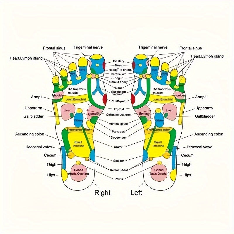 An'anaviy Xitoy tibbiyoti uchun akupressura oyoq massaji matosi, batareyasiz sog'liq va farovonlik aksessuari.