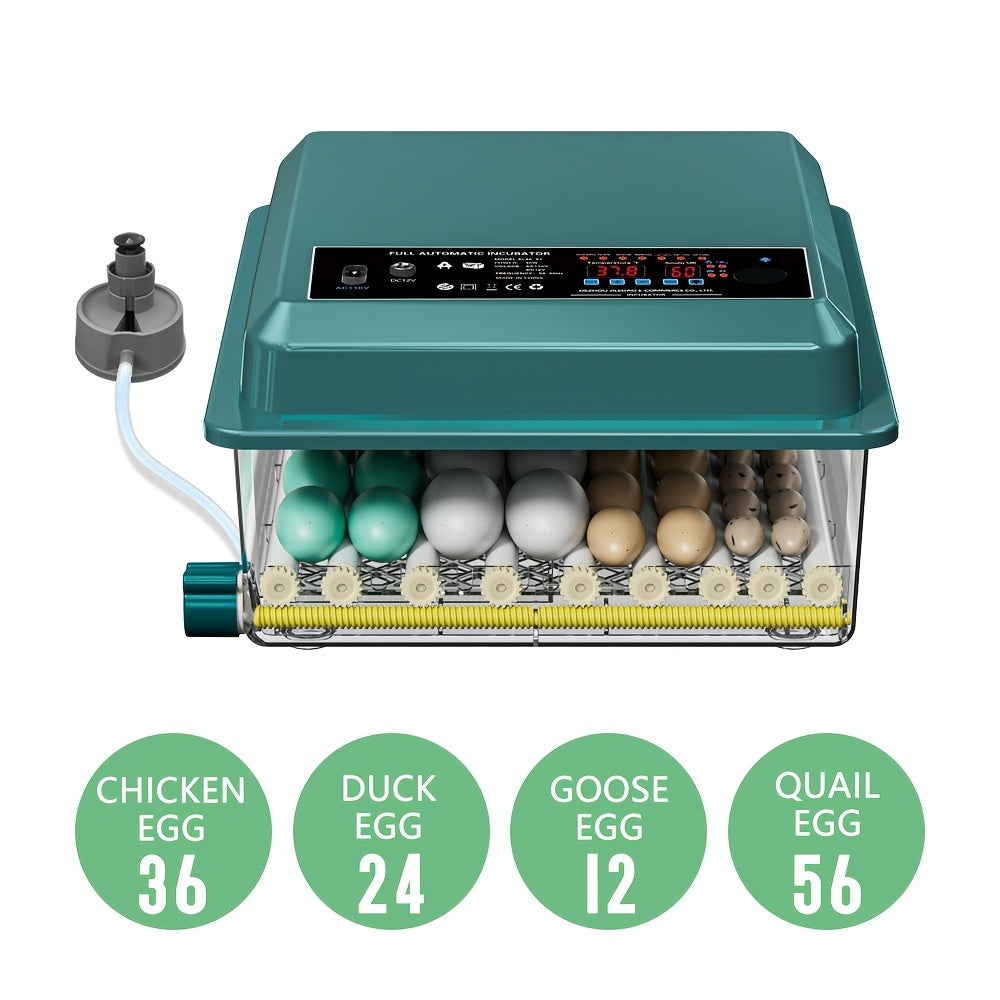 36-Egg Teal Digital Inkubator bilan sozlanadigan harorat, impulsli isitish, sovuq nurni chiqish