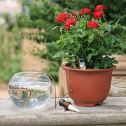 Seramika o'z-o'zini sug'oradigan o'simliklar uchun 6 ta to'plam ichki va tashqi o'simliklar