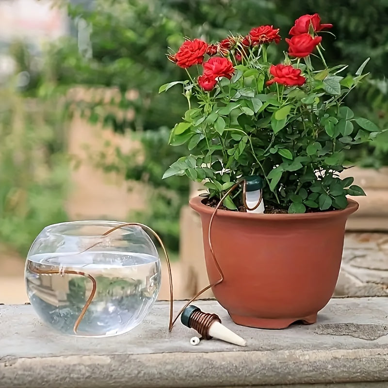 Seramika o'z-o'zini sug'oradigan o'simliklar uchun 6 ta to'plam ichki va tashqi o'simliklar