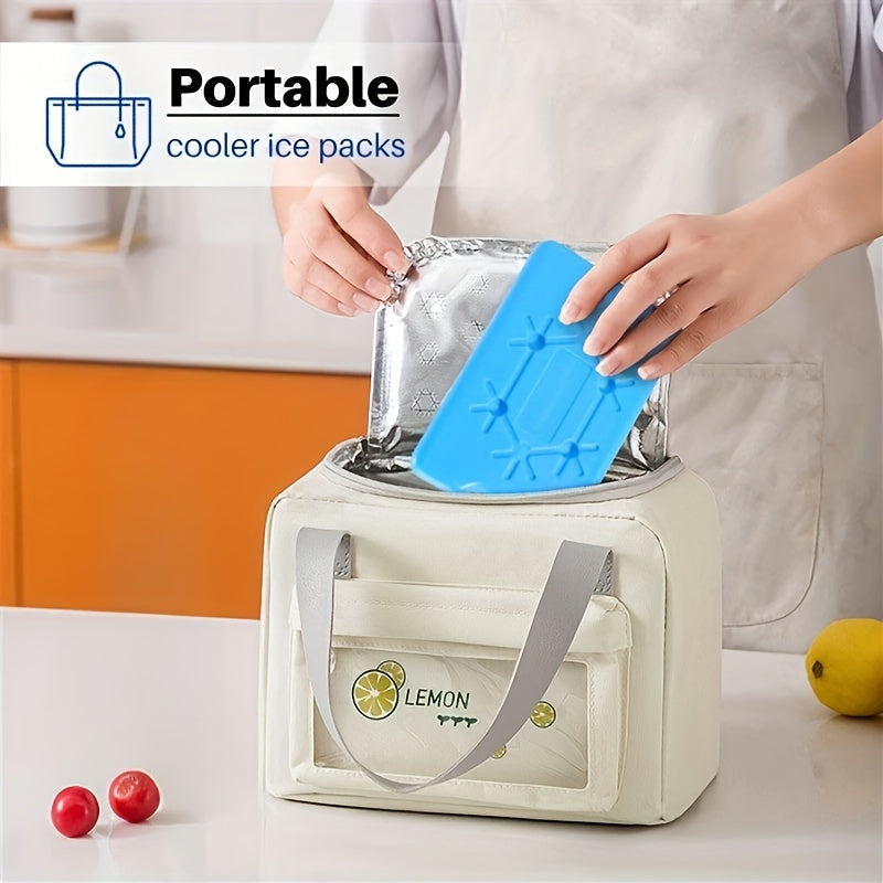 Caja de hielo reutilizable de 200ml y 400ml para almacenamiento en frío y conservación de frescura