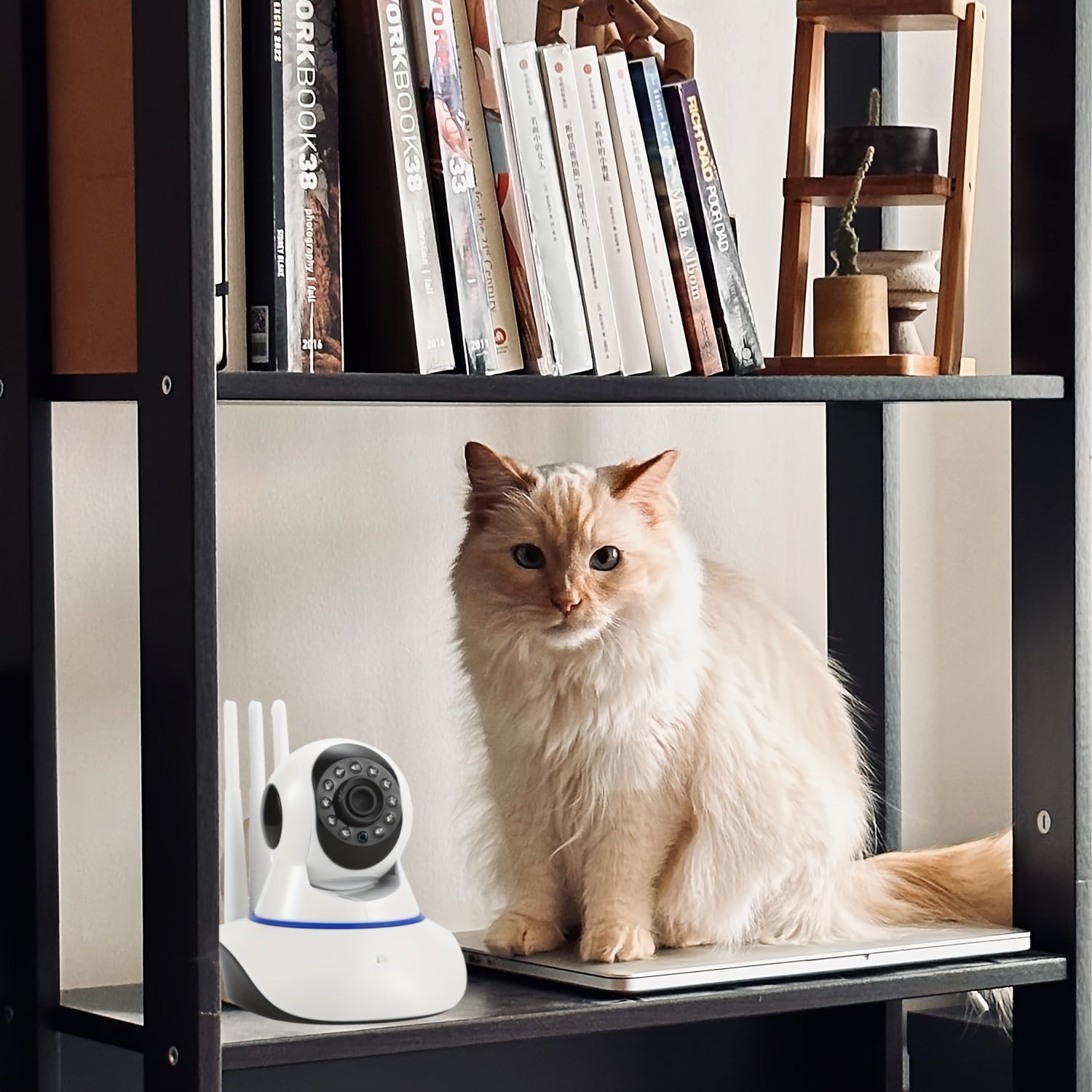 Wireless Security Camera 1080p Full HD Night Vision Motion Detection WiFi Smartphone