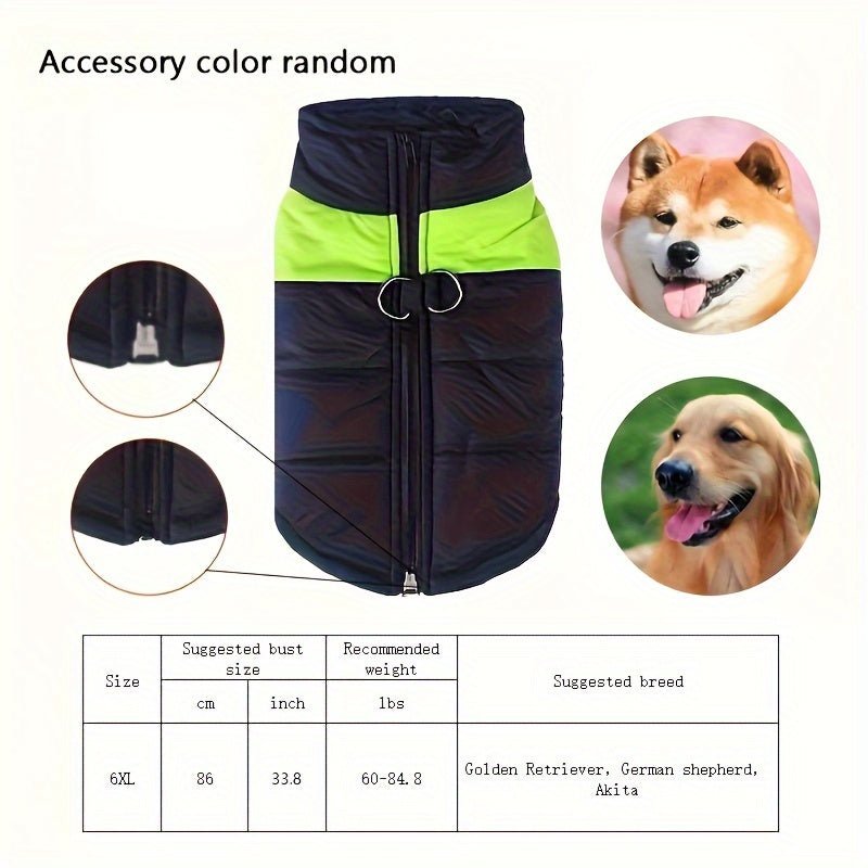Windproof Winter Dog Jacket for Medium Breeds Polyester Zippered Warm Outdoor Apparel