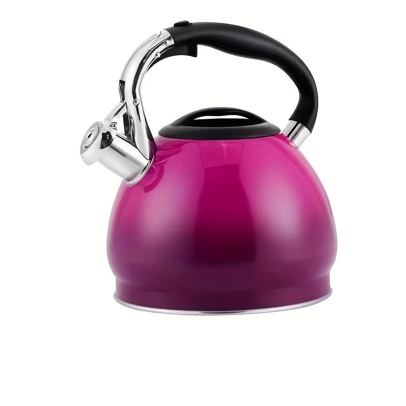Stainless Steel Whistling Tea Kettle Gradient Design for Gas and Induction Stoves