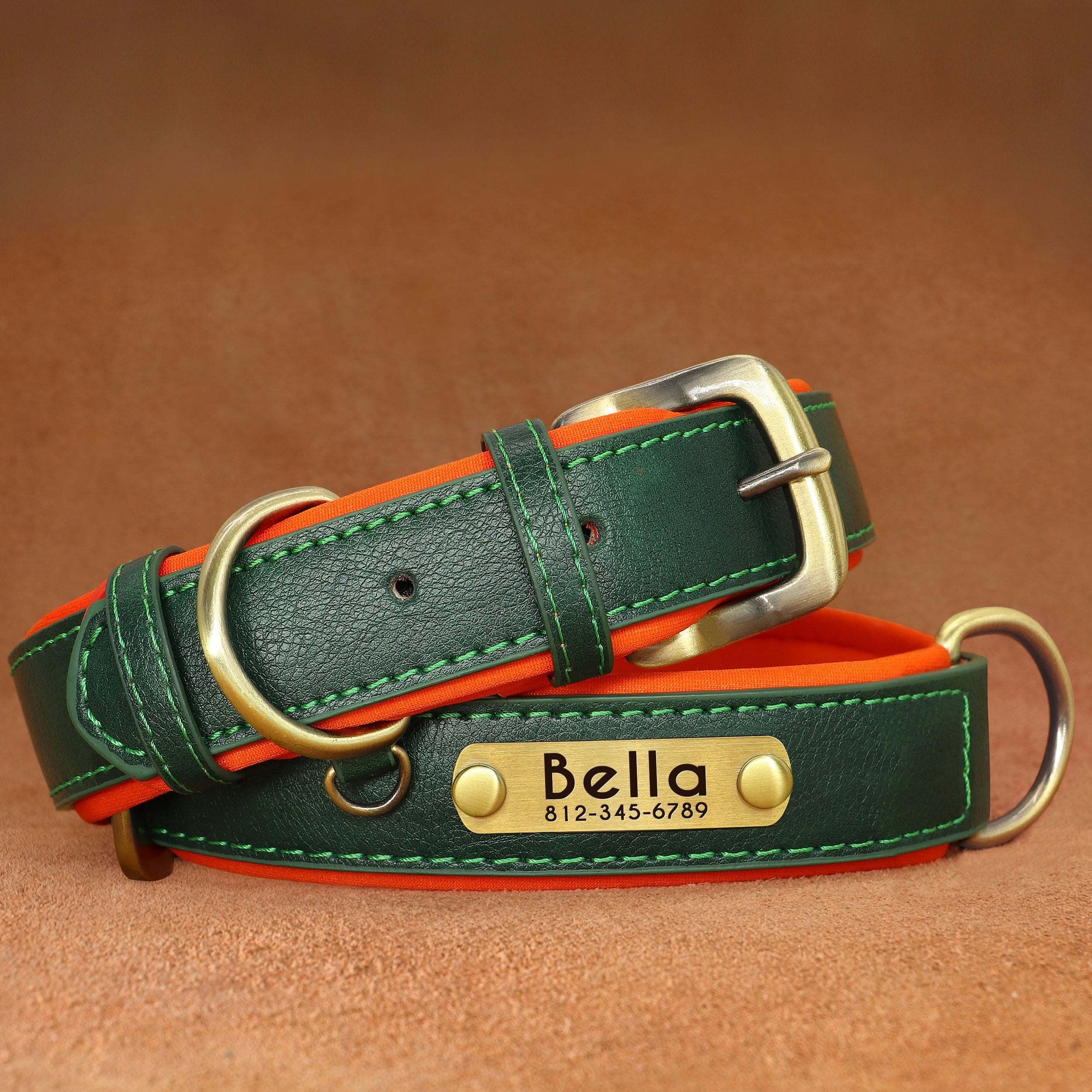 Customized Faux Leather Dog Collar with Neoprene Padding and Nameplate for Small to Medium Dogs