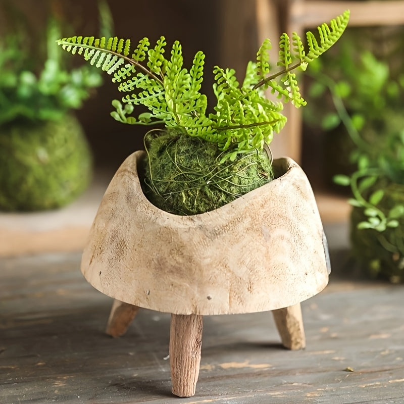 Round Clay Moss Plant Container for Air Plants Succulents Indoor Outdoor