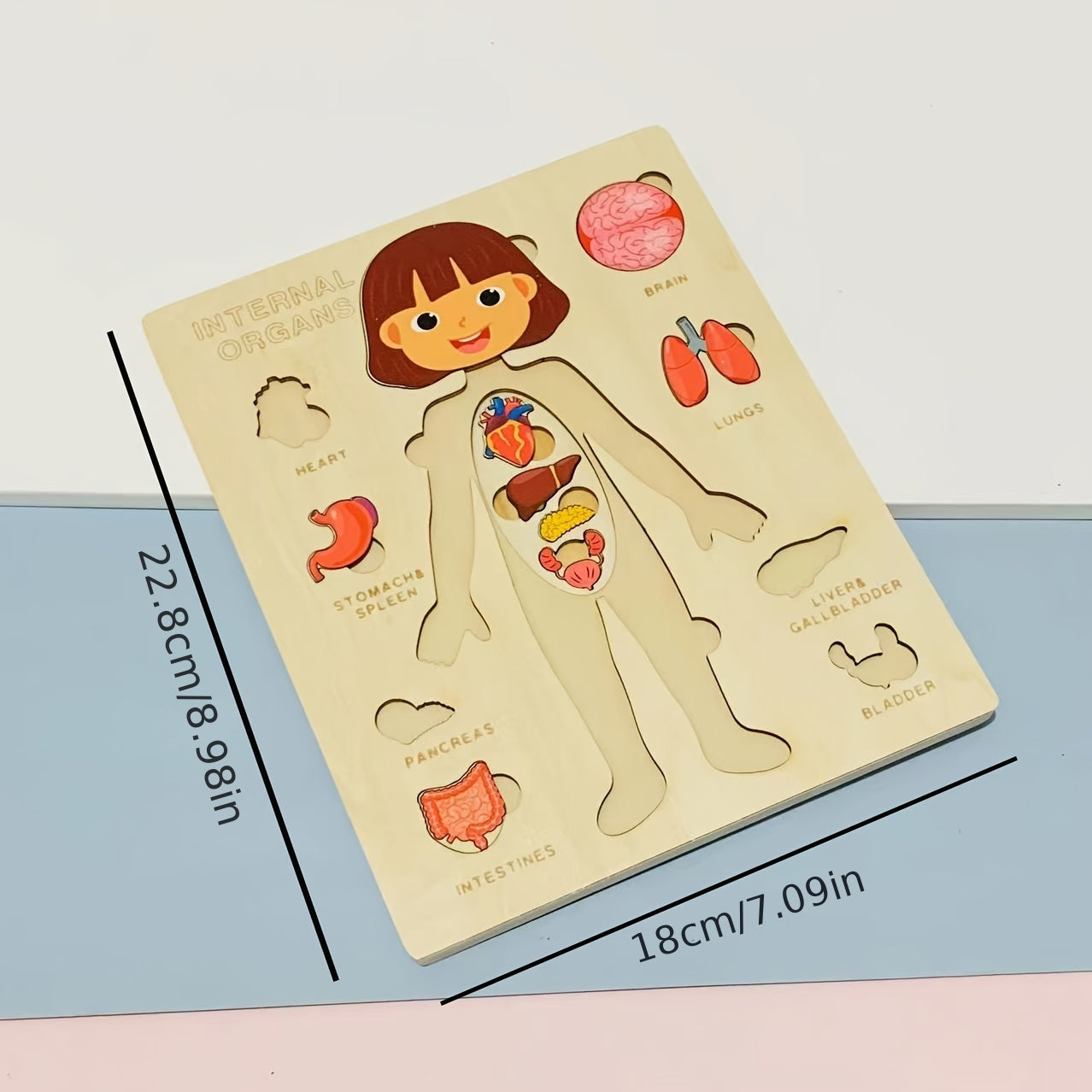Children's Wooden Human Body Puzzle Educational Toy for Early Childhood Development