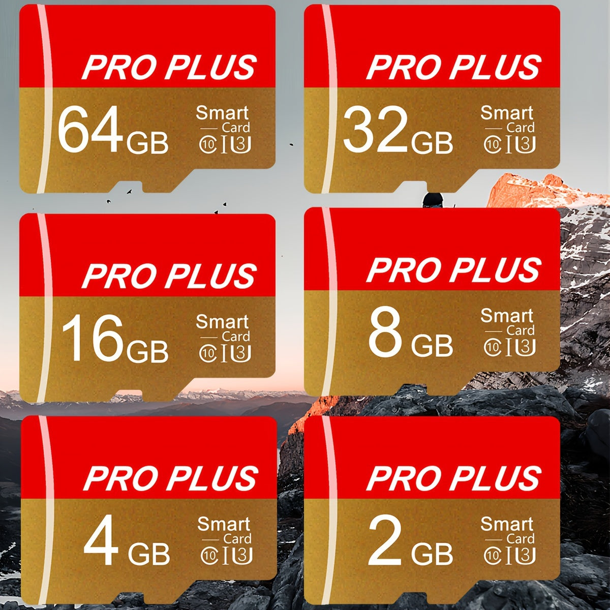 Memory Card Set 2GB to 64GB for Cameras Phones Tablets Laptops and More